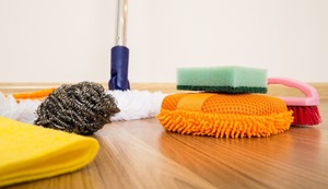 Cuidado con las arañas, ácaros y parásitos en el hogar