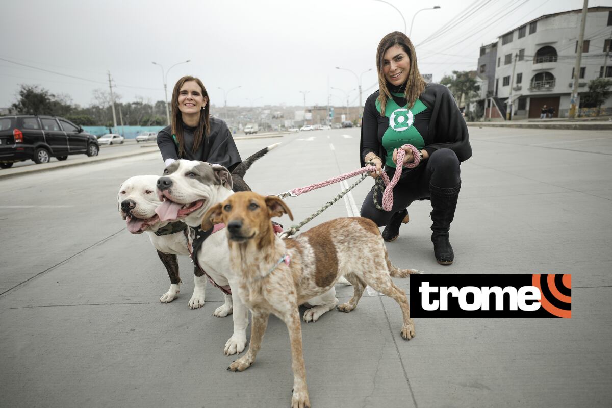 Se visten como las 'Chicas Super Patas' para crear conciencia sobre la tenencia responsable de las mascotitas.