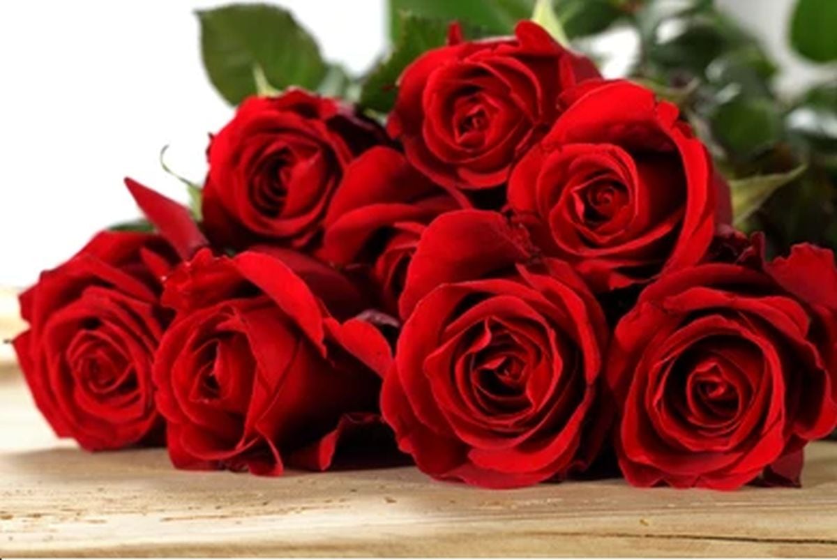 (Foto: Shutterstock)