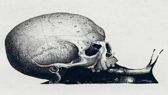 Conoce si eres una persona buena y noble con responder si viste primero un caracol o un cráneo. (Foto: Mdzol/Facebook)