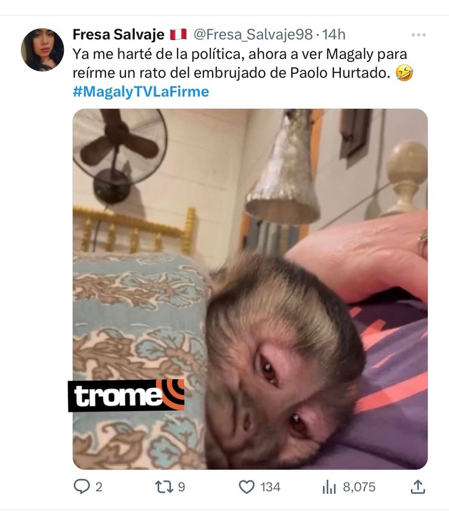 Paolo Hurtando en entrevista con Magaly Medina sobre Jossmery Toledo