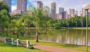 Climate Connect: conoce el programa para aportar a la sostenibilidad ambiental