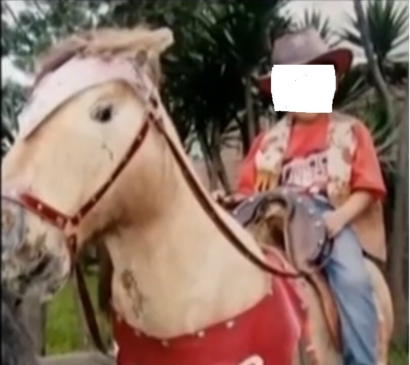 Niño de 12 hallado muerto en casa de sus tíos el pasado sábado 8 de mayo.