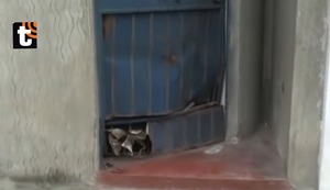 Profesora es víctima de tercer ataque con explosivo: extorsionadores le exigen pago de 20 mil soles