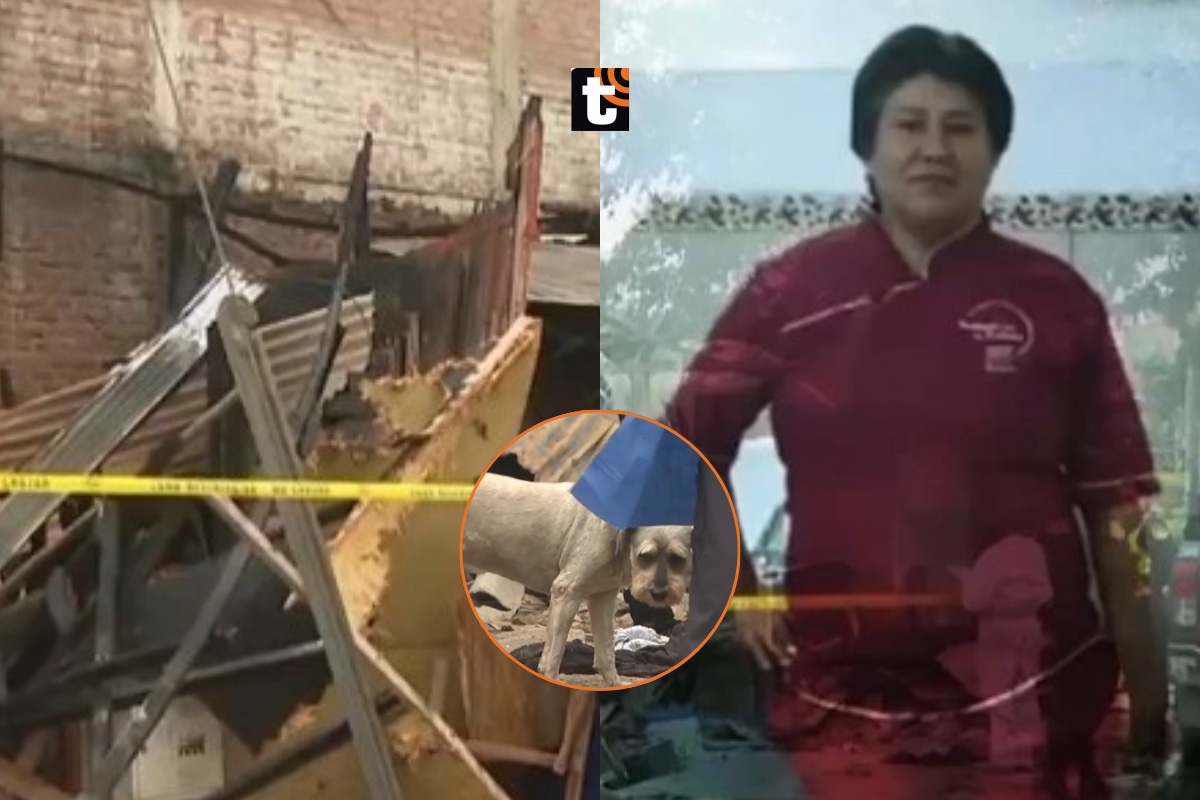 Mujer muere calcinada tras incendio en VMT, pero su mascota logra sobrevivir