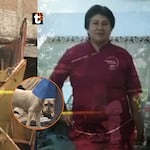 ¡No pudo escapar! Mujer muere calcinada tras incendio en VMT, pero su mascota logra sobrevivir