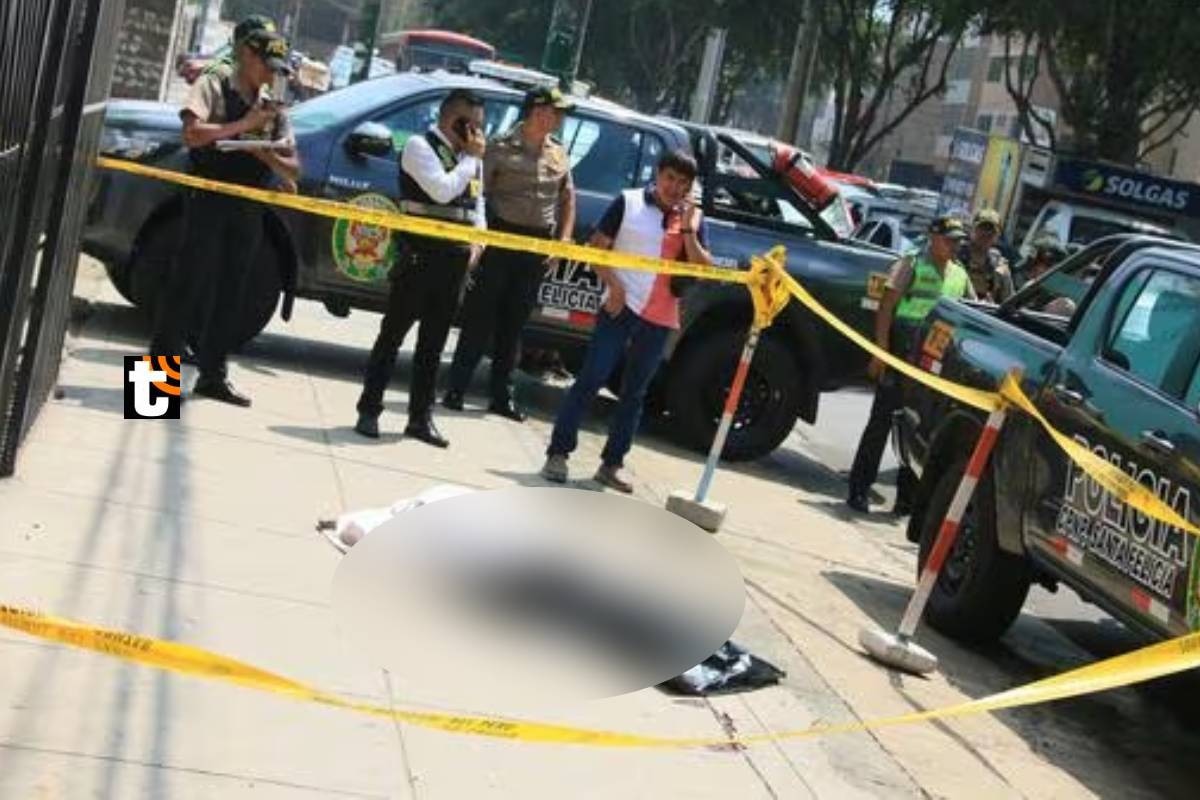 Una mujer fue asesinada en La Molina, en la avenida Constructores a plena luz del día el martes.