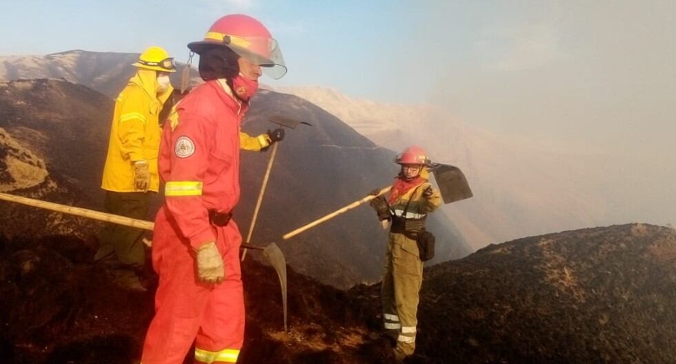 Cusco: Brigadas del Cuerpo de Bomberos trabajan arduamente en los sectores de Tipón y Yanahuara para controlar dos incendios forestales. (Foto: Juan Sequeiros)