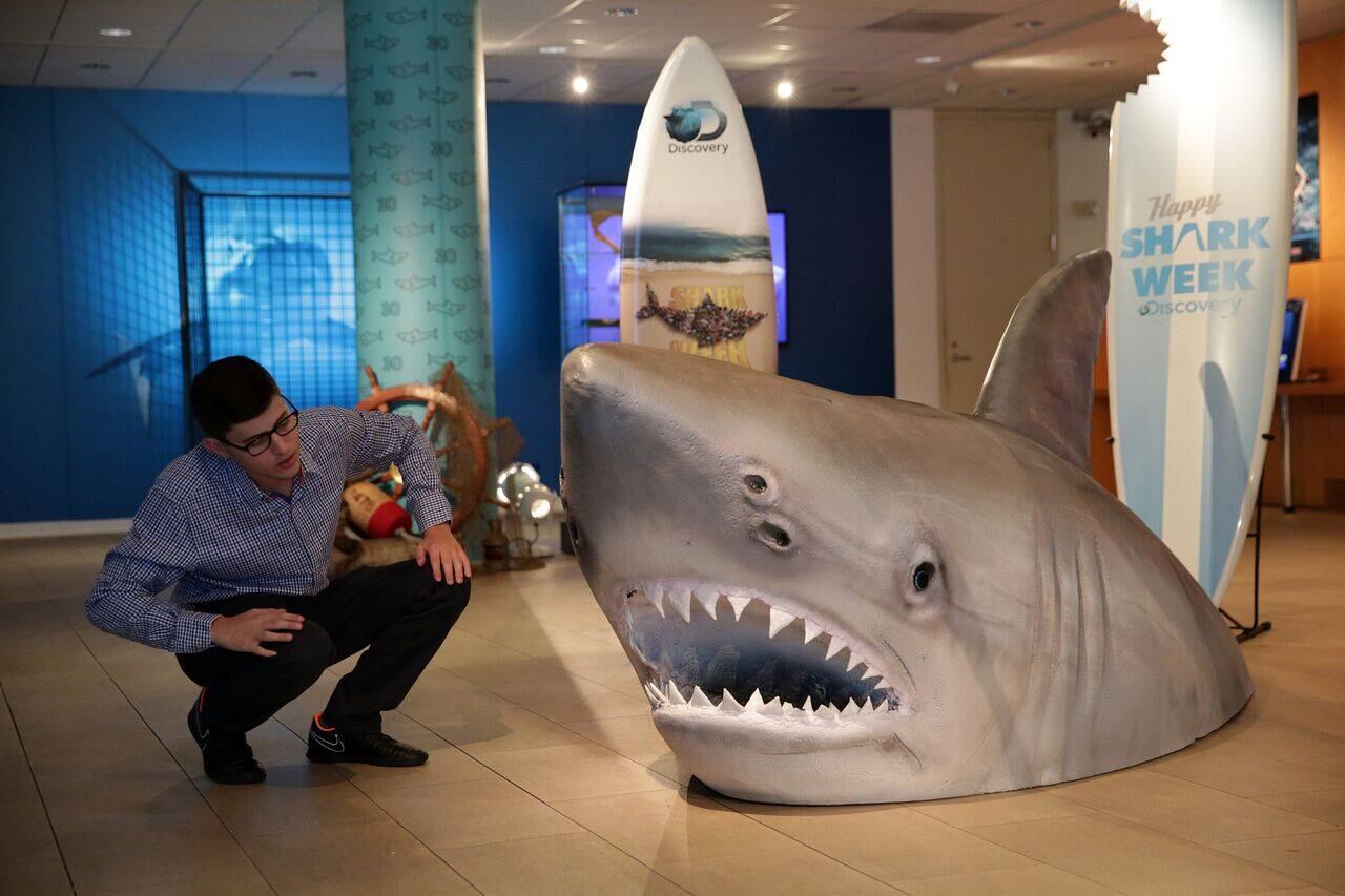 También podrás encontrar algunas utilerías usadas en distintas películas. En la foto, una exposición de la película Tiburón. (Foto: Facebook The Paley Center for Media)