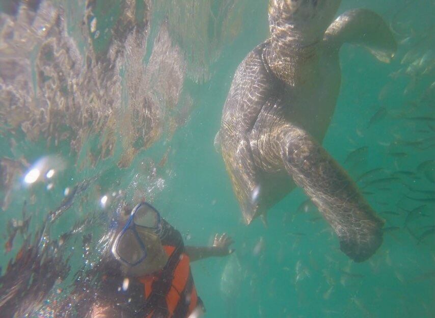 Kyara Villanella comparte viaje con nietas de Gisela Valcárcel. Foto: Instagram