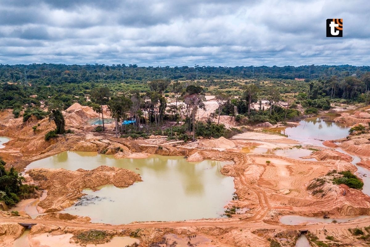La minería ilegal ha adquirido enorme poder debido a que mueve más de 12 mil millones de dólares anuales.