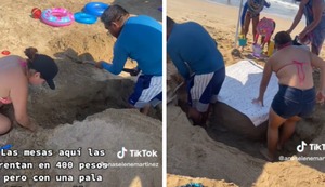 Familia arma una mesa de arena en la playa para no alquilar