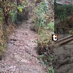 Machu Picchu: Cierran Camino Inca por huaicos ocasionados debido a intensas lluvias