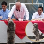 Se roba el show en desayuno electoral de Techito: “Se ganó”