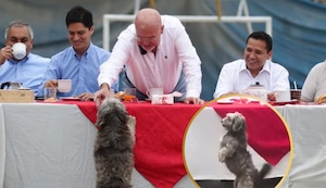 Perrito se roba el show en desayuno electoral de Techito: “Se ganó”, dice Verónica Linares