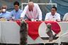 Perrito se roba el show en desayuno electoral de Techito: “Se ganó”, dice Verónica Linares