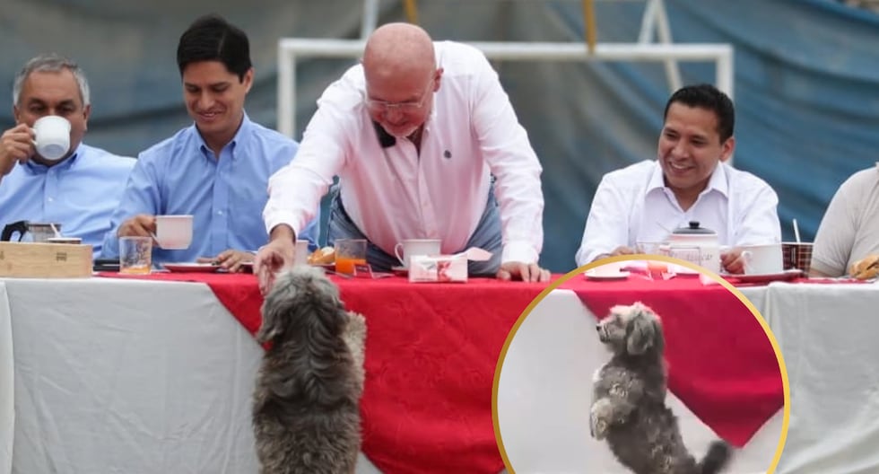 Un perrito se roba el show en el desayuno electoral de Carlos Bruce en Villa María del Triunfo