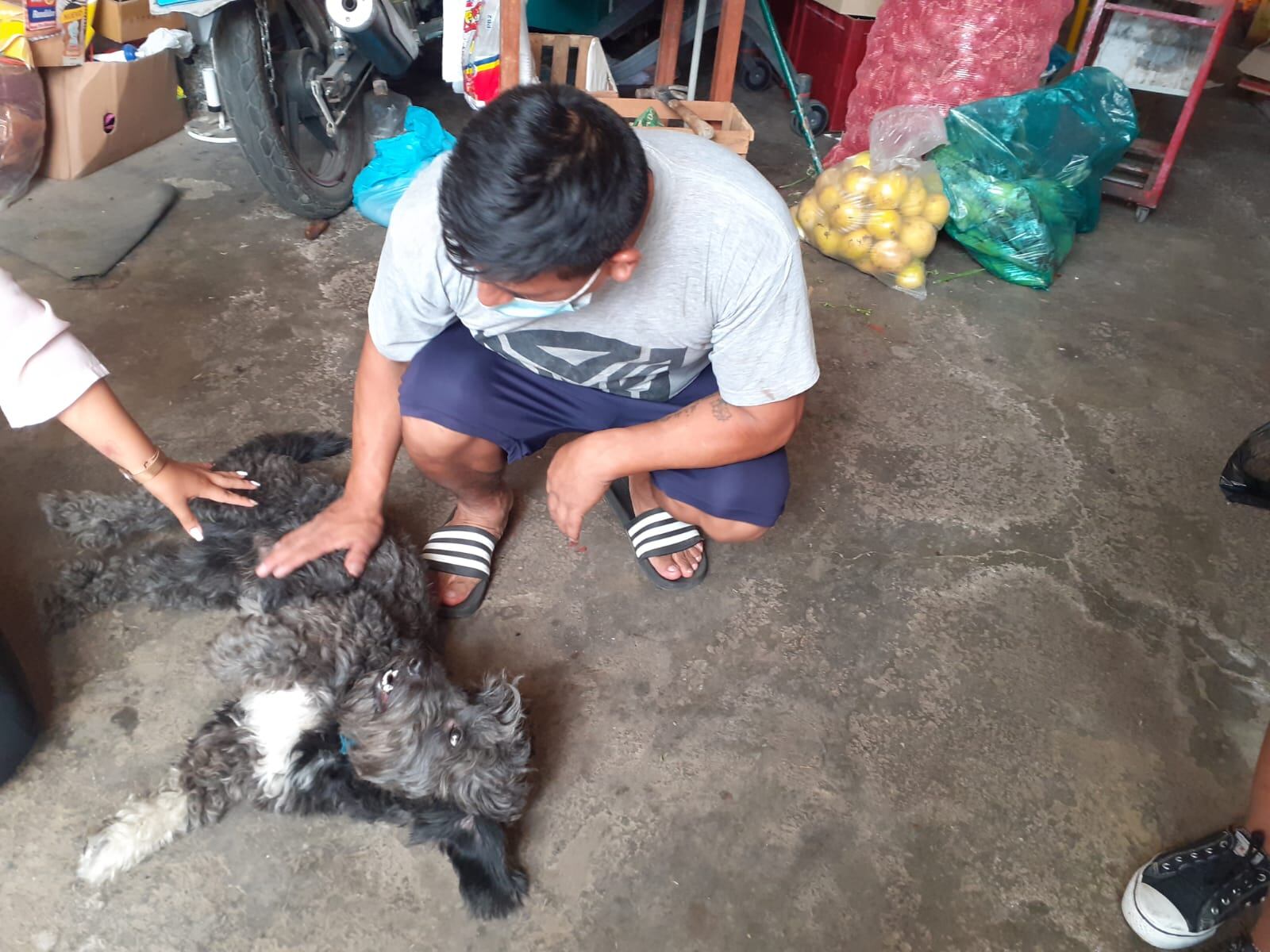 El joven administrador Joseph Simbrón Alcarráz (32) defendió a su perrito 'toto' de la golpiza de un trabajador (venezolano) de limpieza pública y fue salvajemente atacado a patadas por este sujeto y sus compatriotas, que laboran para el municipio de San Juan de Lurigancho. (foto: Mónica Rochabrum)