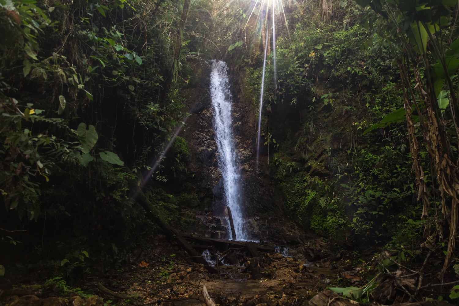 El bosque andino tropical tiene una gran misión: almacenar agua y regular su distribución para que no existan sequías en las partes más bajas. Sin este tipo de ecosistemas crece la vulnerabilidad de actividades como la agricultura. Foto: Diego Pérez / SPDA.