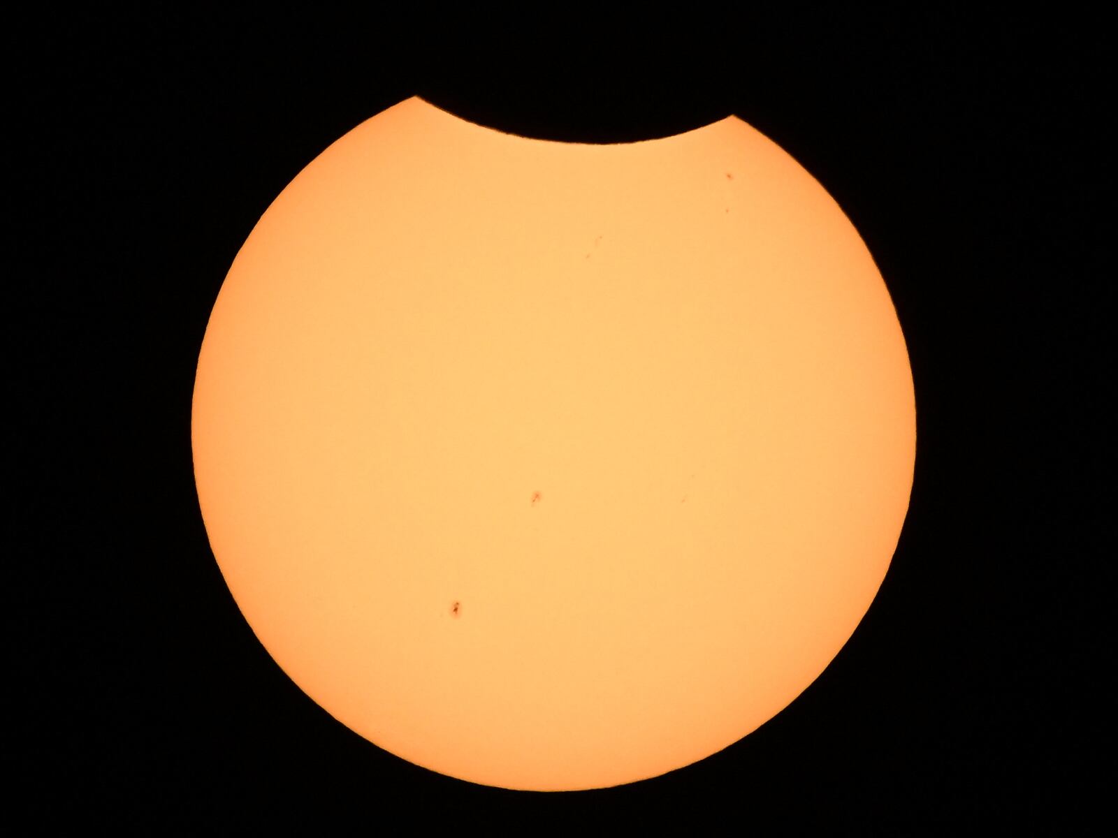 Miles de personas se reúnen para ver el eclipse solar de octubre 2023 (Foto: AFP)