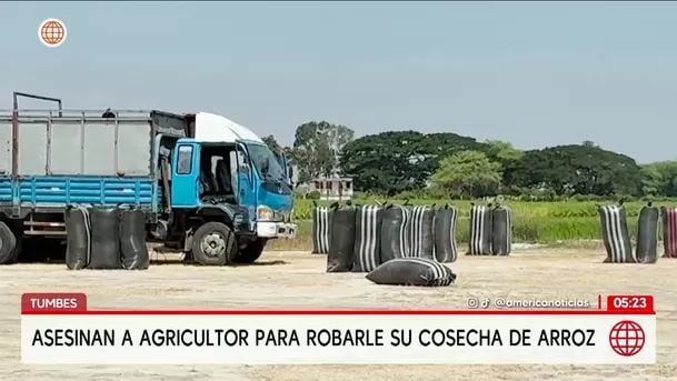 Asesinan a agricultor para robarle su cosecha de arroz en Tumbes. Foto: América Noticias