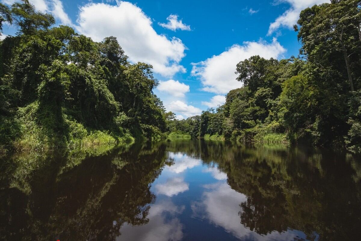 Espacios naturales albergan biodiversidad de fauna y flora, y son también escenarios de historias turísticas con sostenibilidad. (Sernanp).