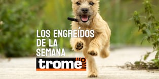 Engreídos de Trome. Foto: composición/Istock