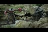 ‘Transformers: El Despertar de las Bestias’: Así se vio Cusco en el primer tráiler, el año pasado