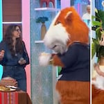 Rebeca Escribens termina en el suelo tras encuentro con el cuy