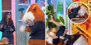 Rebeca Escribens termina en el suelo tras encuentro con el cuy