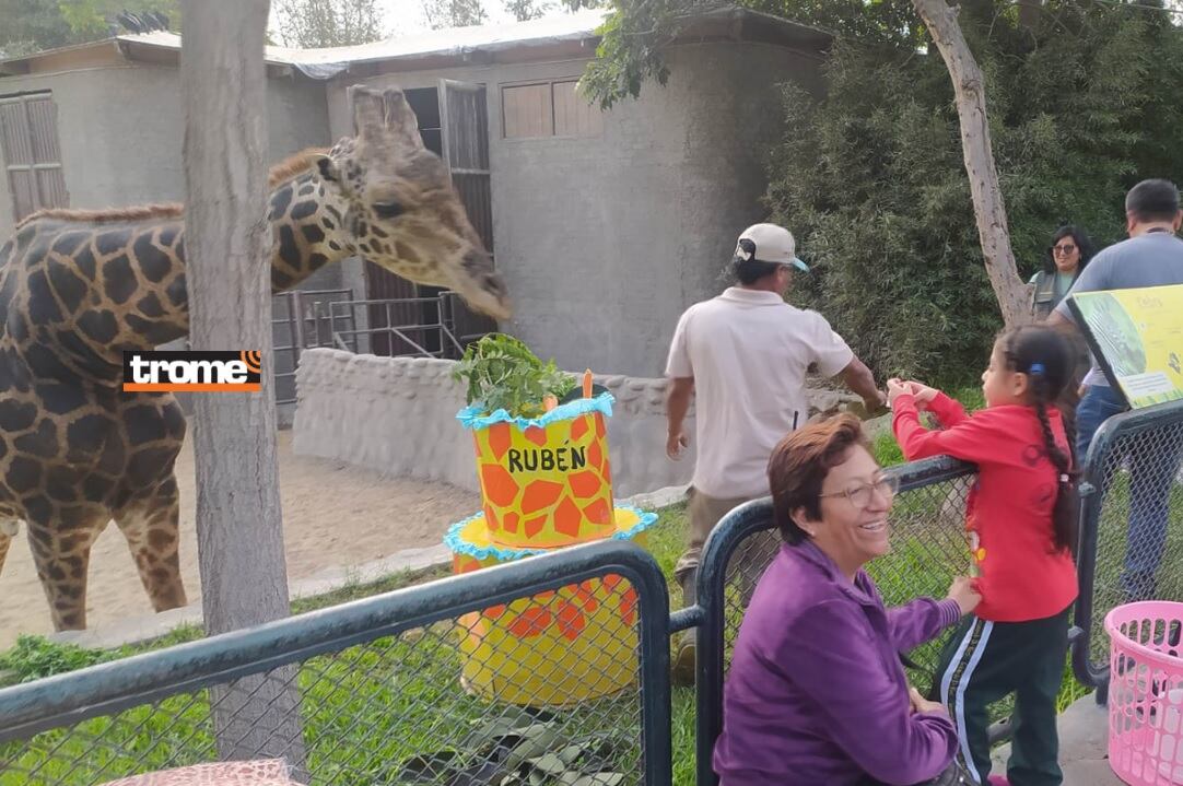 Es uno de los animales más visitados en este recinto que alberga y trabaja la conservación de muchas especies de fauna. (Isabel Medina / Trome)
