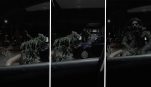 ¿De qué se trata? Conductora capta extraña criatura en Lima