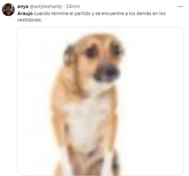 Memes del Perú vs. Canadá por la Copa América 2024