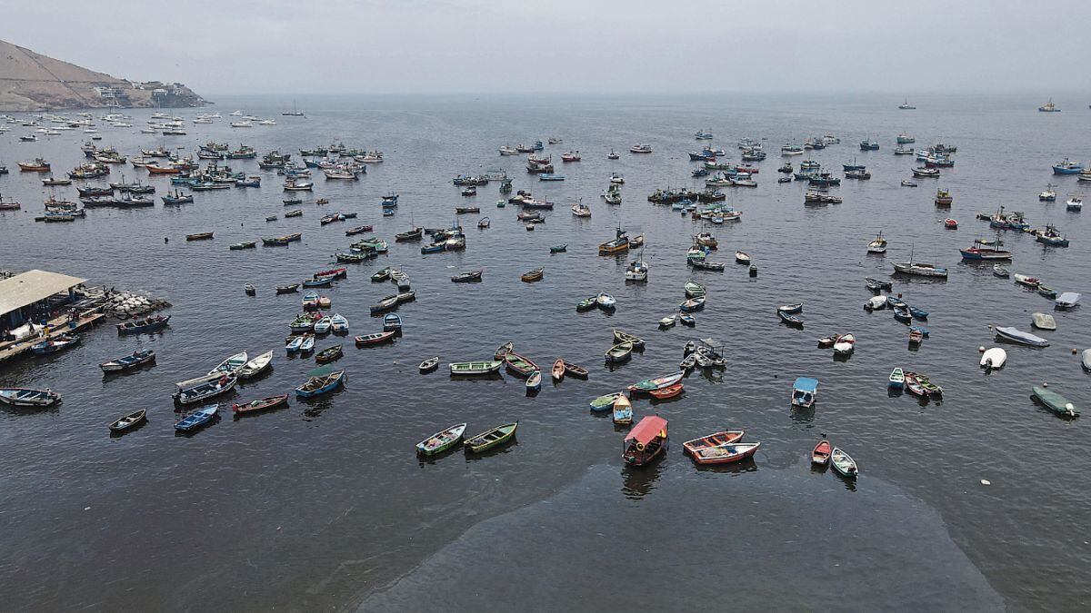 Derrame de petróleo afectó la economía de muchos pescadores artesanales en la costa limeña en enero de 2022 (Foto: GEC)