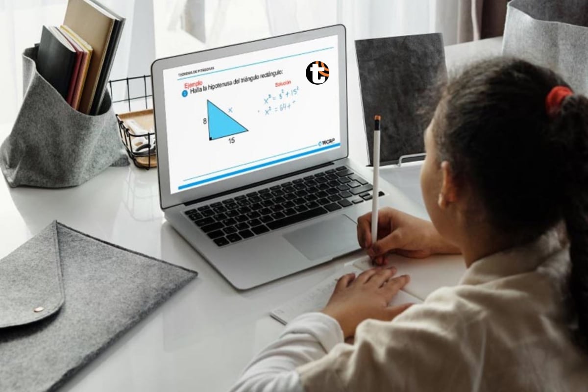 La mayoría de colegios de Lima y Callao tendrán clases virtuales. Foto: GEC