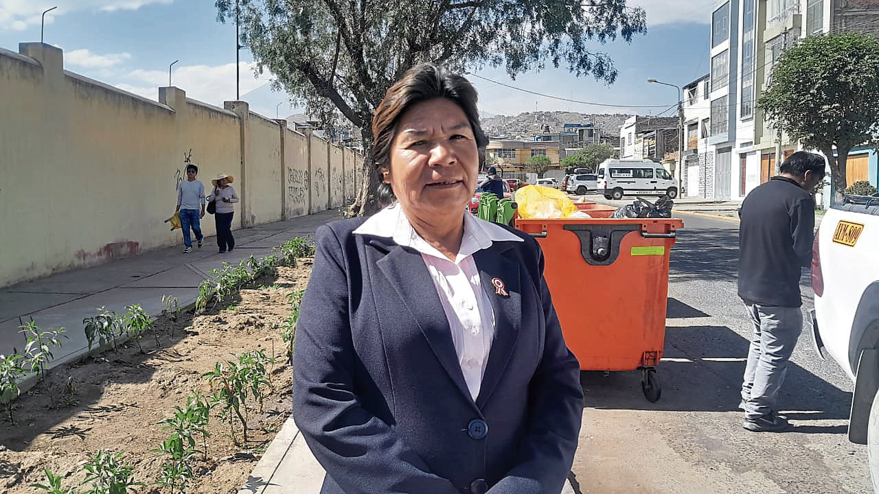 Alcaldesa de Chiguata, Gladys Ticona, lamenta situación. Foto: GEC.