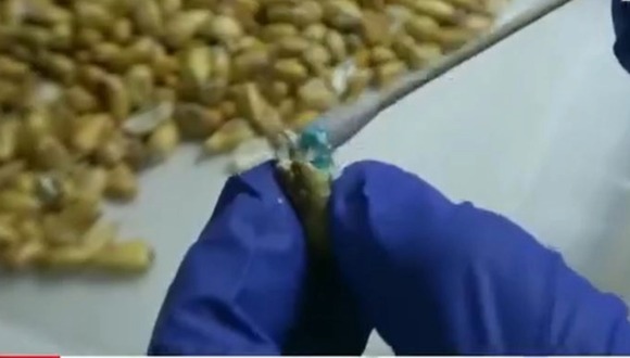 Narcotraficantes usan adornos navideños para enviar droga al extranjero