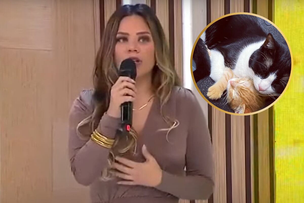 Andrea San Martín niega maltrato animal