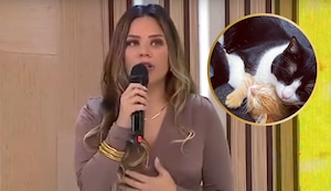 Andrea se defiende tras declaraciones de Juan Víctor sobre maltrato animal: “Nunca lancé al gato, jamás”