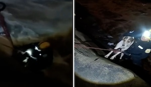 Momento conmovedor: serenos rescatan a perrito que cayó al río Rímac