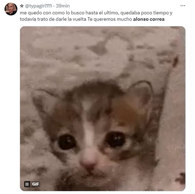 Alonso Correa cayó en semifinales de surf de París 2024: Memes (Foto: Twitter)