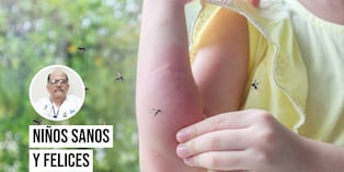 En temporada de verano aumentan los casos de infecciones al estómago, problemas en la piel y picaduras de insectos. Foto: Istock.