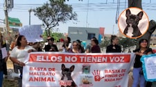 Independencia: Realizan plantón frente a casa de sujeto que ahorcó a perrita Susu | VIDEO