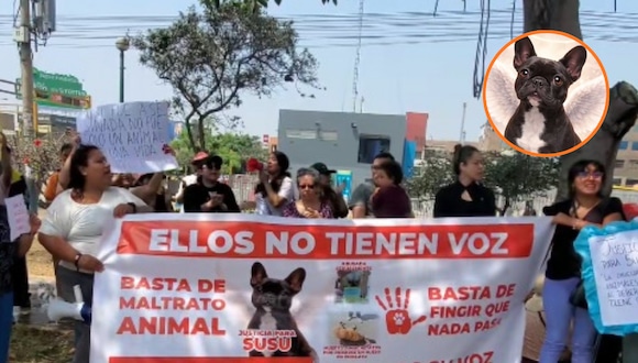 TROME | Realizan plantón frente a casa de sujeto que ahorcó a perrita Susu (@ somosvagabondis)