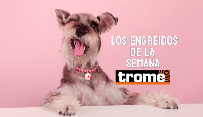 Engreídos Trome de la semana. Foto: composición/Istock