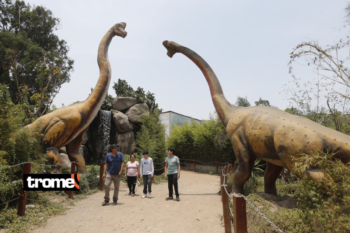 Visitantes podrán recorrer la 'Zona Dino', donde hay 22 figuras animatrónicas de dinosaurios. Foto: Violeta Ayasta