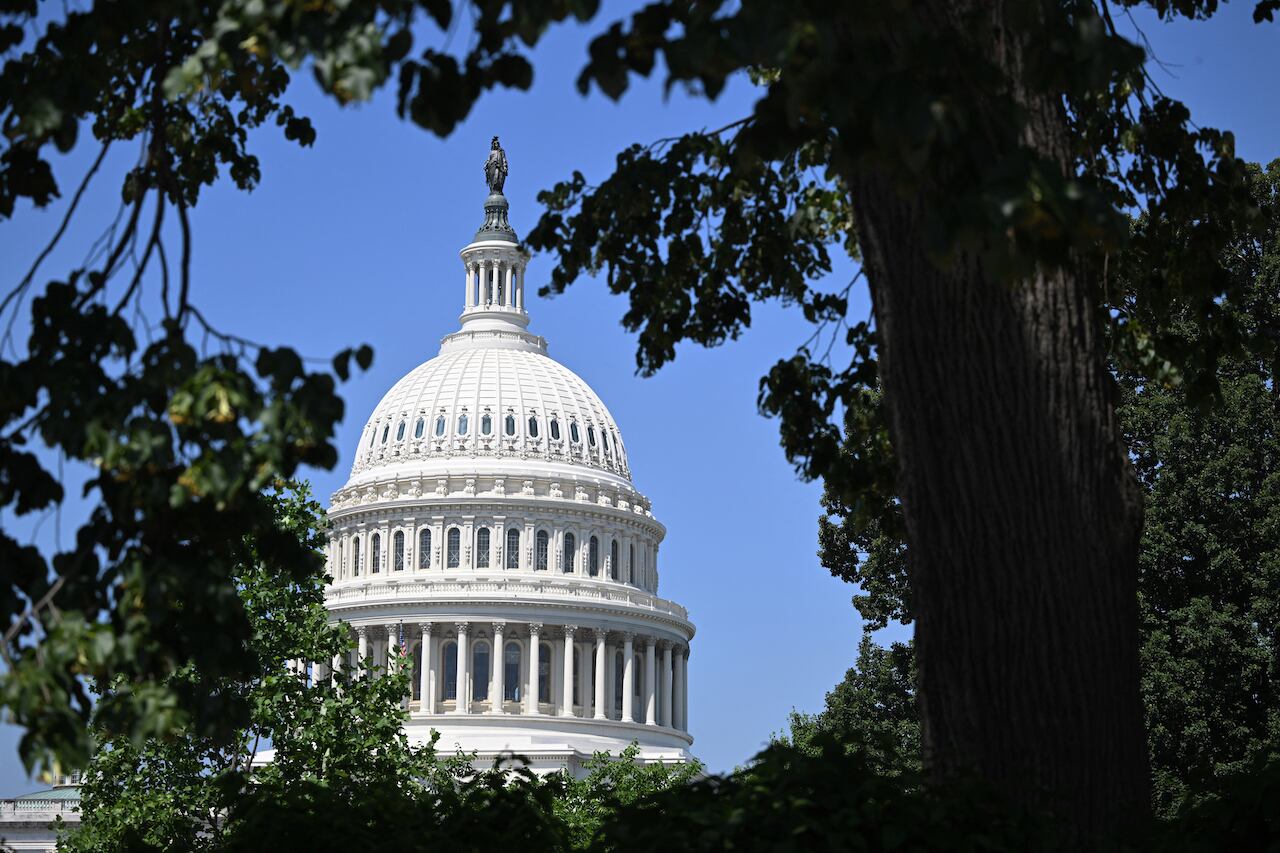 Elegirán representantes del Capitolio (Foto: AFP)