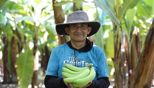 Ruta Productiva Exportadora: Fortalece tus capacidades para exportar Postulaciones hasta el 31 de enero