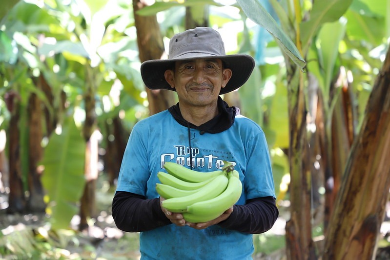 Entre los servicios que se brindan en la RPE destacan asistencia técnica para la certificación orgánica, catación de café y cacao, implementación del sistema interno de control, desarrollo de planes de negocios de exportación y otros.