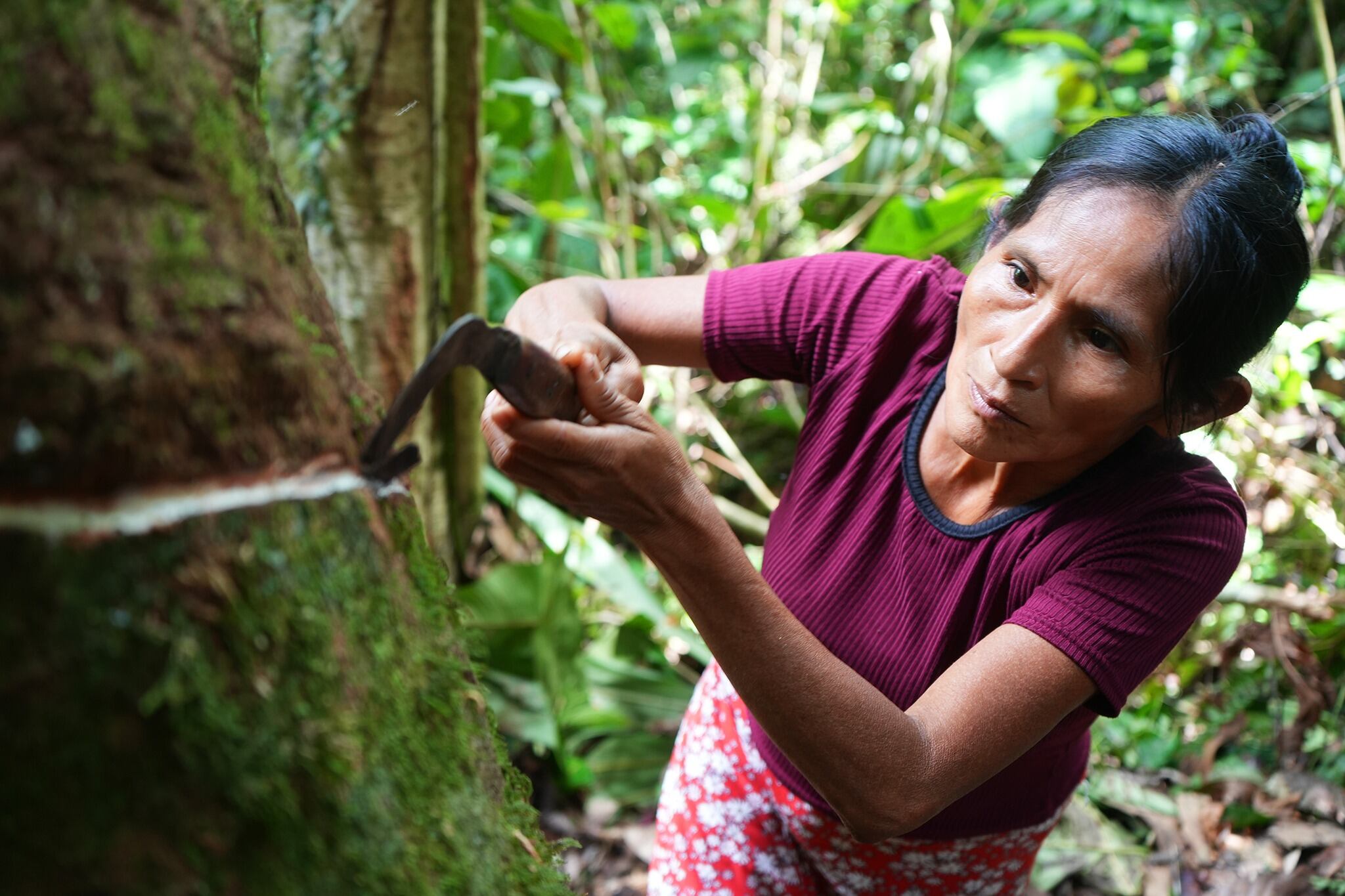 Productores trabajan las técnicas para que este trabajo sea sostenible.